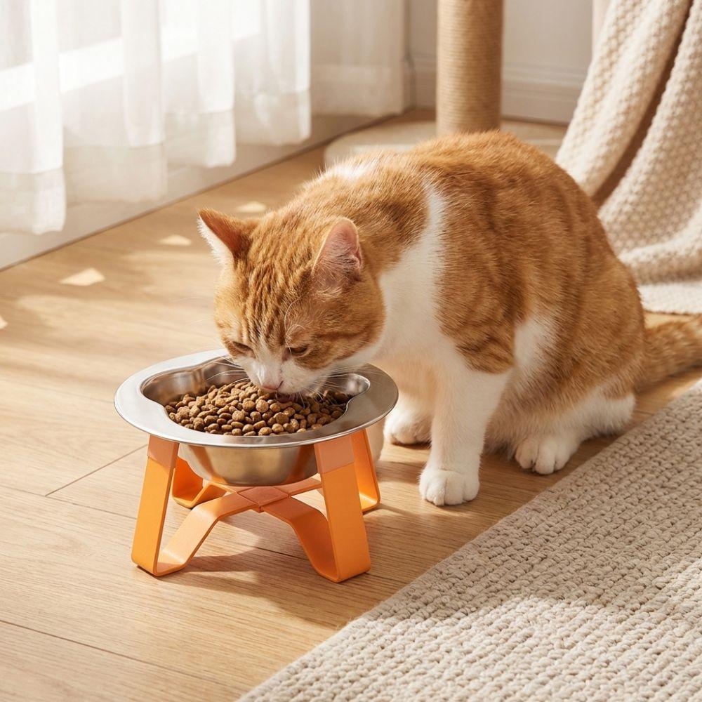 Detachable Pet High Footed Bowl Protect Cervical Spine Dog Drinking Bowl  Pet Feeding