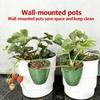 Propagation Cup Kit Featuring Food Grade Plastic and Runner Forks Ideal for Strawberry Runners and Seedling Cultivation