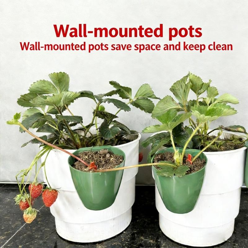 Propagation Cup Kit Featuring Food Grade Plastic and Runner Forks Ideal for Strawberry Runners and Seedling Cultivation