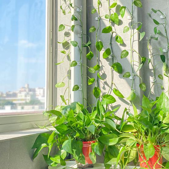 10Pcs/Set Adorable Snail Shape Plant Fixed Clip Good Clamping Wall Mounted Plastic Plant Holder Clip for Home