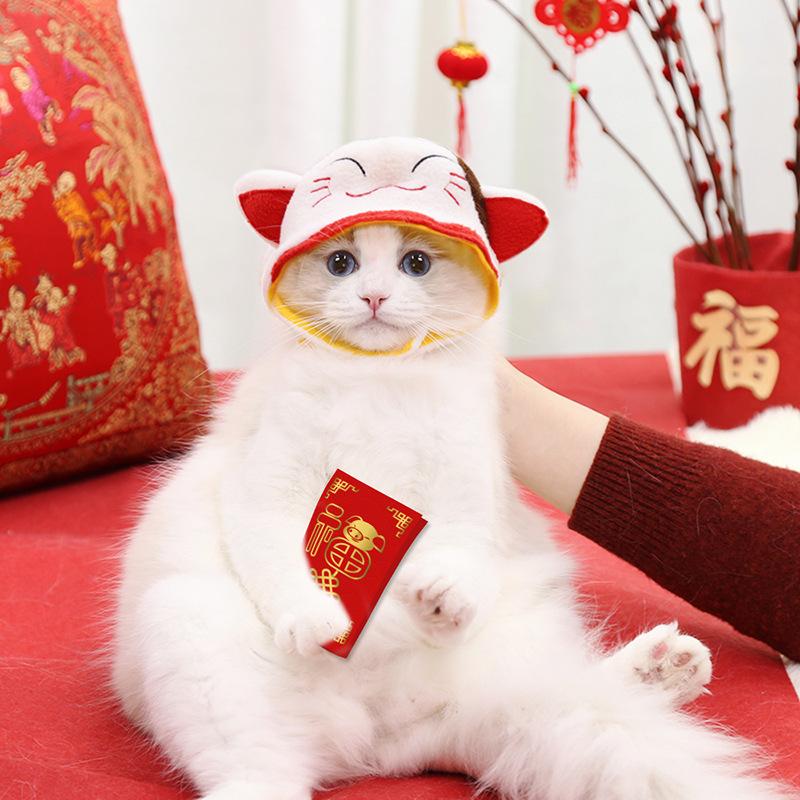 

Pet hat hood warm cute cat teddy bear dog dress up accessories