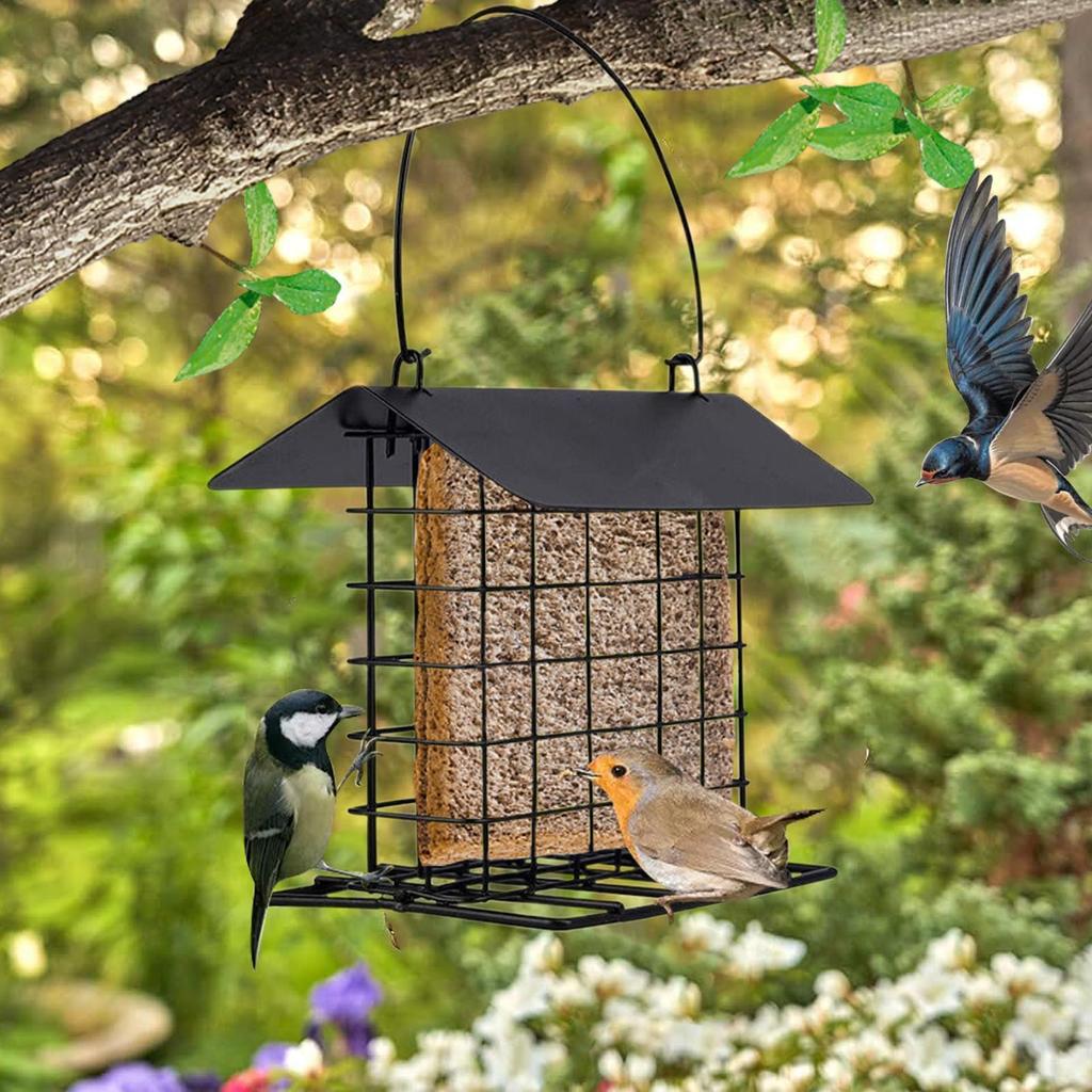 Suet Feeder Reusable Squirrel Proof Feeding Station Suet Cakes Cage Bird Feeder for Wild Hummingbirds Woodpeckers All Breeds