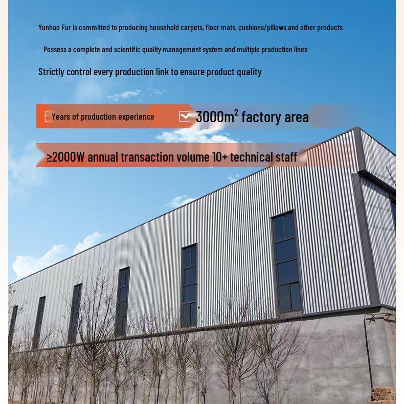 Oval Household Carpet & Doormat - Versatile for Bedroom, Living Room, Bathroom, or Sofa Foot Pad