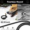Heated Water Bowl for Outdoor Dogs Cats, 100W Heated Dog Bowls, Adjustable Temperature Heated Pets Water Dish with Removable Stainless Steel Bow for