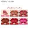 YOUNG VISION 6 Color Lip Gloss Set, Mirror Lip Gloss + Matte Lip Paint, Long-lasting Smudge-proof, Makeup Gift Set