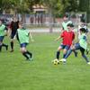 Scrimmage Training Vest Mercerized Cotton Team Training Practice Vest for Outdoor Sports Soccer Football Basketball Volleyball Fluorescent Green Kid