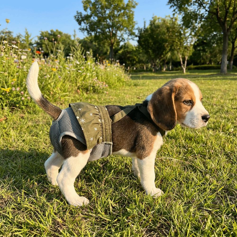 Breathable Mesh Dog Menstrual Panties Leak-Proof Dogs Diaper Dog Sanitary Panties All-Season
