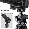SWFOTO geared tripod panoramic head with a load capacity of up to ideal for architectural and landscape GH-PRO 5kg, photography.