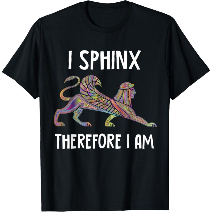 

Funny Egyptian Sphinx Pun Philosophy Humor Travel Egypt Joke T-Shirt XXXXXL чорний