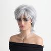 Women Stylish Short Layered Brown Hair Synthetic Silver Gray Wigs with Bangs for Daily Cosplay Lolita Heat Resistant Fibre
