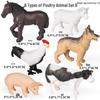 Children's Insect Animal Model Set: Mini Spider, Stag Beetle, Scorpion, Centipede, Rhinoceros Beetle Toys