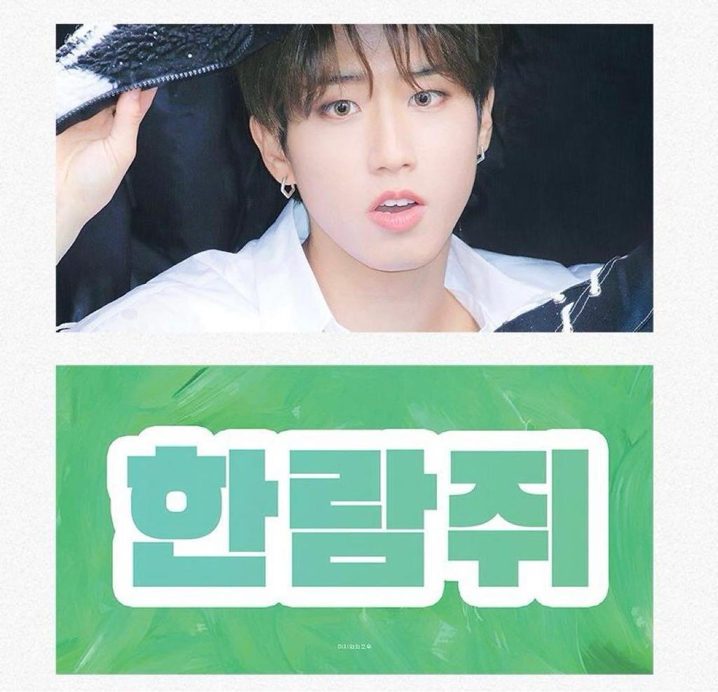 [USED] straykids han slogan
