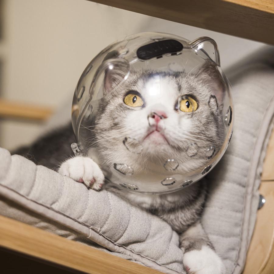 Pet Cat Transparent Space Helmet - Breathable Anti-Scratch Bite-Resistant Design with Cat Ears