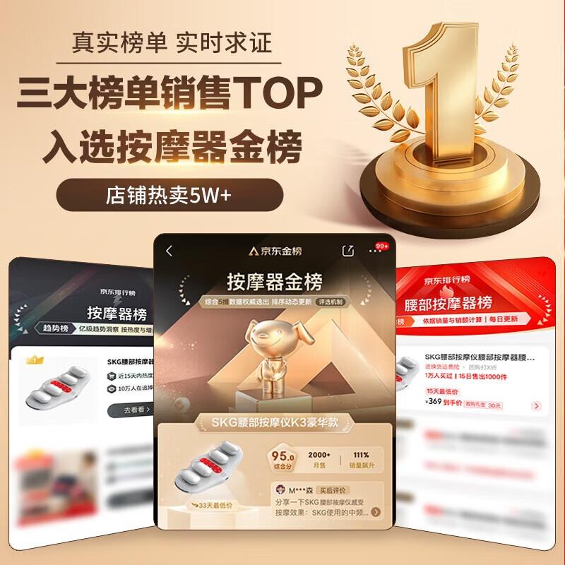 SKG Lumbar Massager and Heating Belt