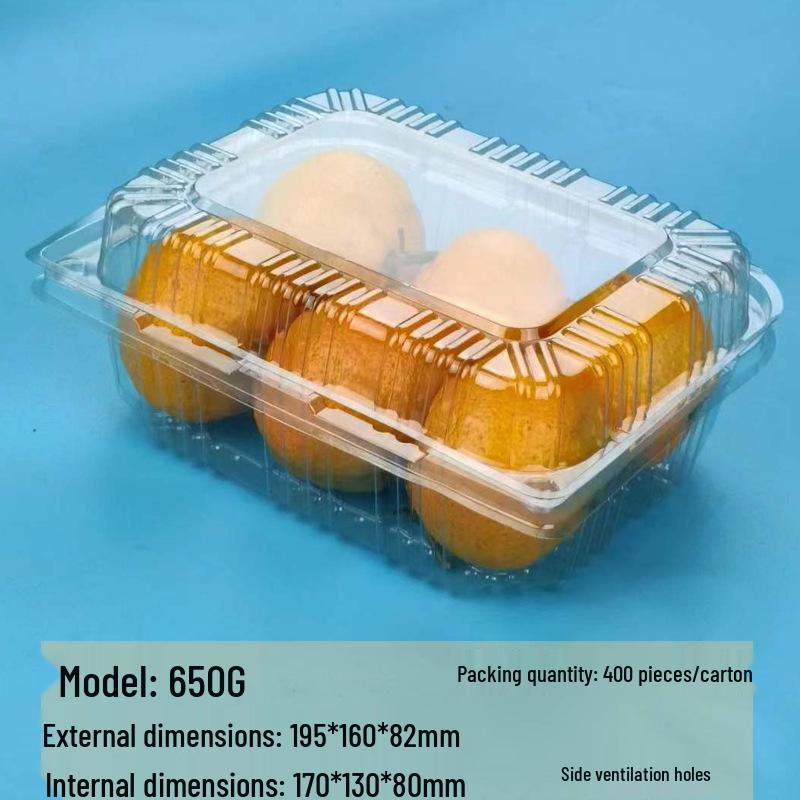 Transparent Disposable Fruit Box with Lid – Food-Grade Plastic, Rectangular, Sturdy for Takeaway, Ideal for Strawberries or Cut Fruit