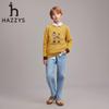 Hazzys Boys' Round Neck Pullover Sweater