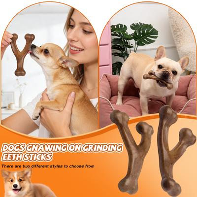 Dog Chew Toy For Gentle Chewers
