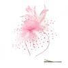 Elegant Tea Party Mesh Hair Band Exquisite Bride Headdress Feathers Fascinator Hat  Wedding