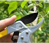 Horticultural Labor-Saving Pruning Shears: Powerful, Segmented Design for Thick Branches and Fruit Trees