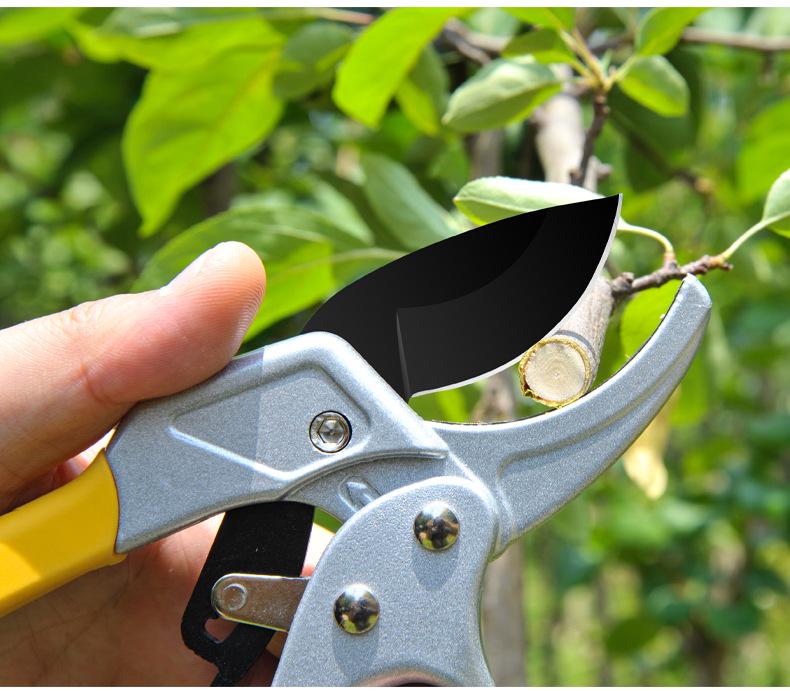 Horticultural Labor-Saving Pruning Shears: Powerful, Segmented Design for Thick Branches and Fruit Trees