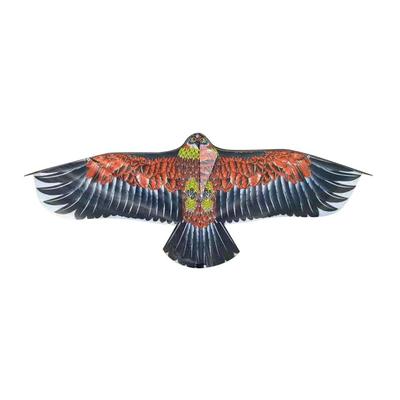 1.1m Eagle Kite With 30 Meter Kite Line Large Eagle Flying Bird Kites Children Gift Family Trips Garden Outdoor Sports DIY Toy
