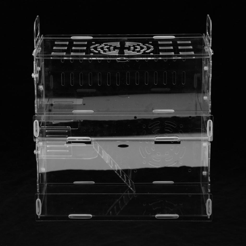 Reptile Terrarium Cage Tank Display Isopods Lizards Roach Invertebrates