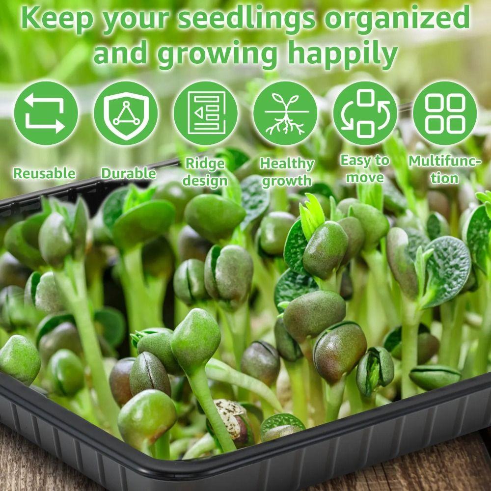 10 Stück Keine Löcher Pflanzanzuchtschalen Wiederverwendbare Bonsai-Blumentopfschale Aussaatanzuchtschale Erde