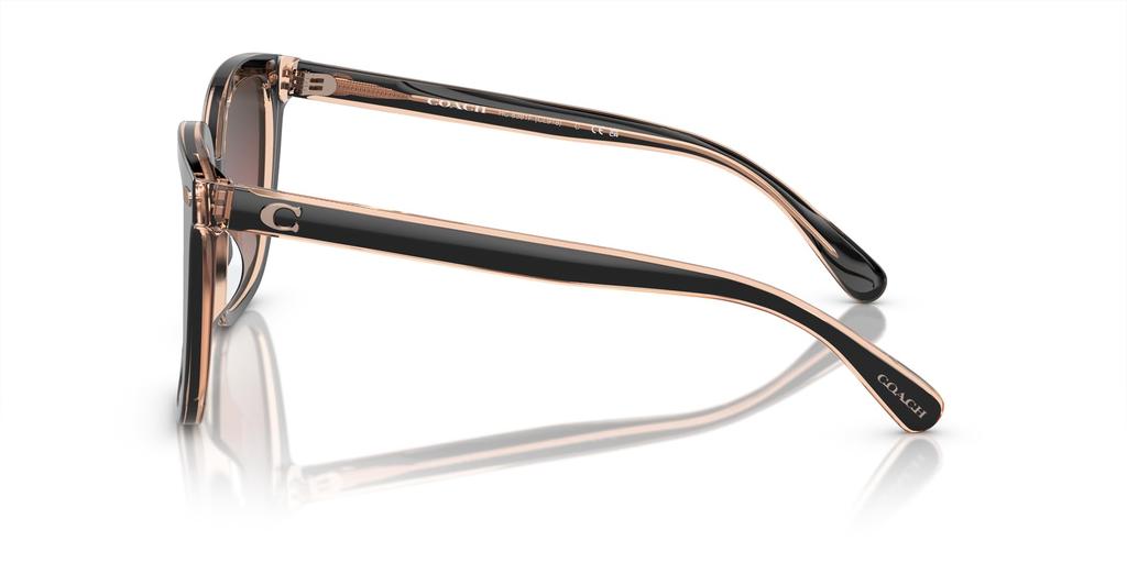 Coach HC8381F CL919 BLUSH 56 Women's Sunglasses, BLACK/TRANSPARENT