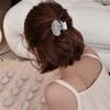 Acrylic Pearl Shell Hair Clip Hairpin Small Grab Clip Sweet Small Hair Claw  Vacation