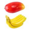 iikuru Food Sample Realistic Fake Fruit Display Food Sample Set [Luxurious 15-Piece Set] Fruits, Fruits, (y355)