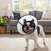 Breathable Dog Elizabethan Collar Prevent Biting Stop Scratching Dog Cone Collar Licking Protection Adjustable Recovery Collar