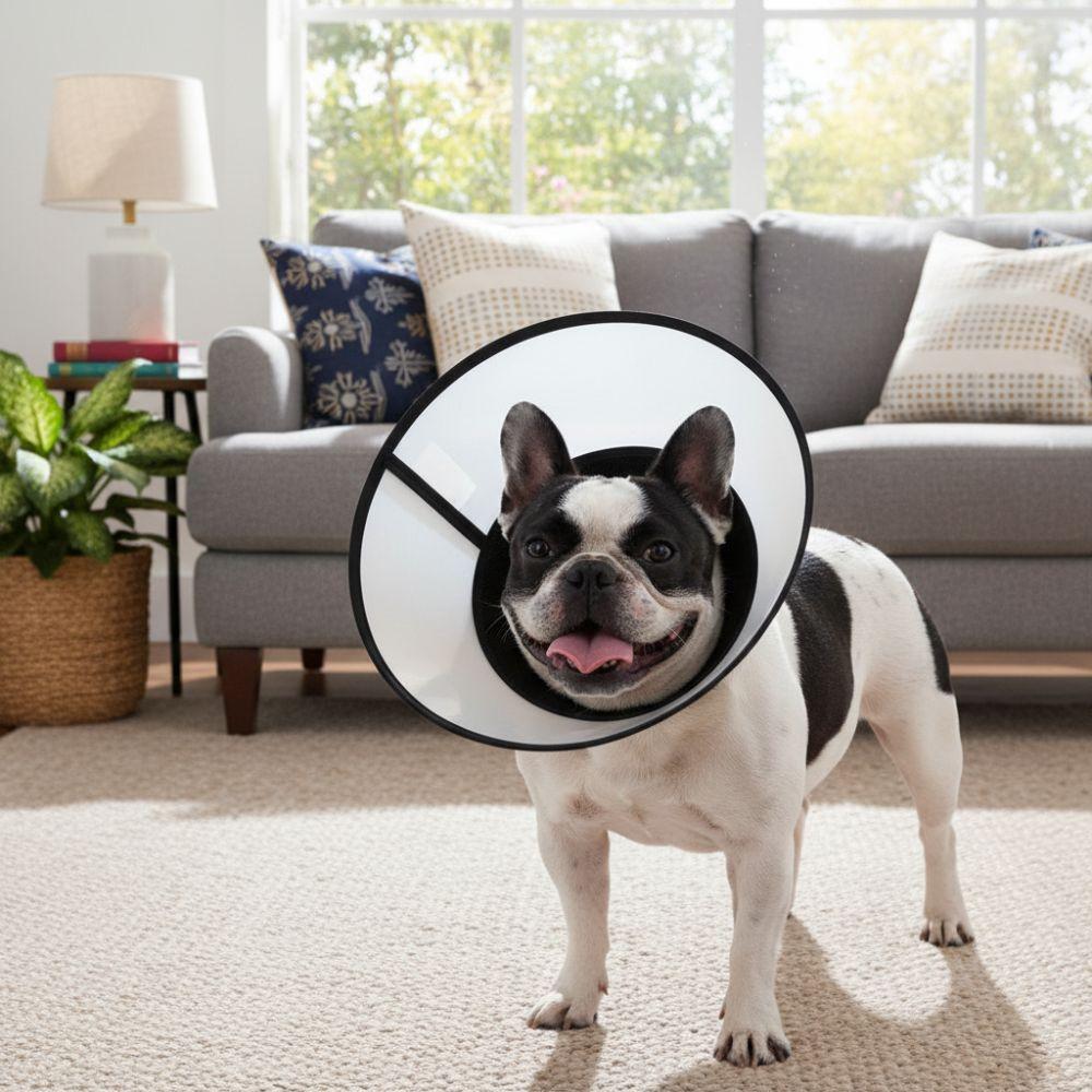 Colar Elizabetano Respirável para Cães Ajustável Colar de Recuperação Colar Protetor Recuperação de Feridas