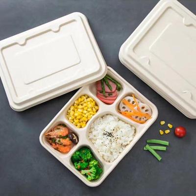 Recipientes para alimentos – Lancheiras