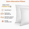 Basic Pillow, Down Alternative, Machine Washable, Large, 2-Pack, 51 X 66 Cm, White