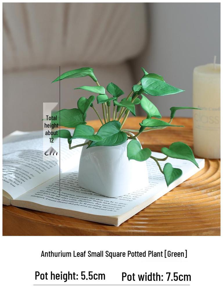 Miniature Succulent Bonsai Desk Ornament: Green Plant Props for Home or Office Decor