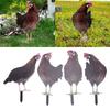 4 Pcs Garden Hen Stakes Colorful Realistic Decorative Acrylic Easy To Install Chicken Yard Decor for