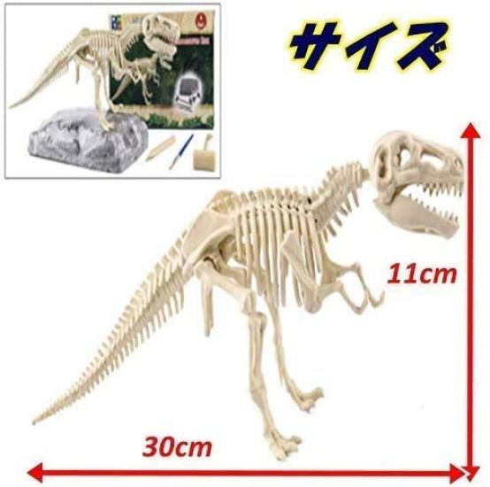 UTST Dinosaur Fossil Excavation Kit Excavation Toy Discovery Learning Set (Spinosaurus)