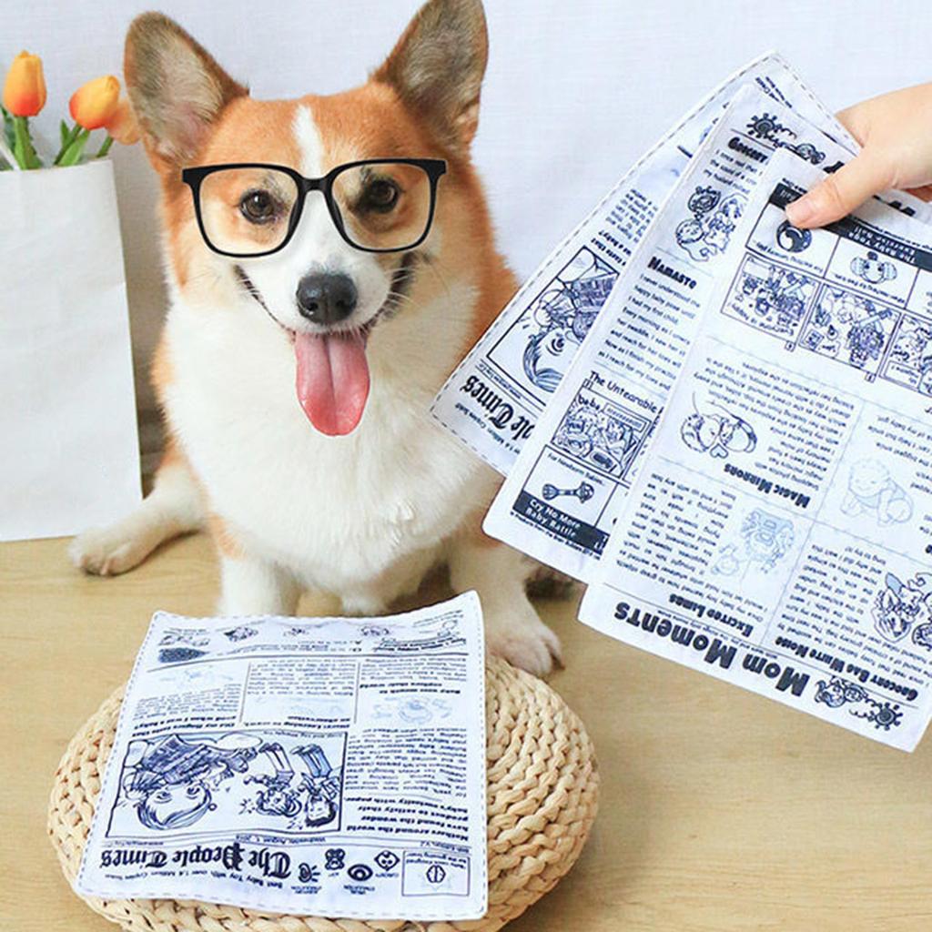 Interactive Unstuffed Dog Chew Toy for Small and Medium Dogs Squeak Toy Newspaper Reducing Boredom & Anxiety