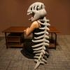 Dinosaur Plush Headgear Set Celebrity-Style Funny Dinosaur Skeleton Hat Soft Cartoon Costume Accessory Party Prop Toys Kid Gifts