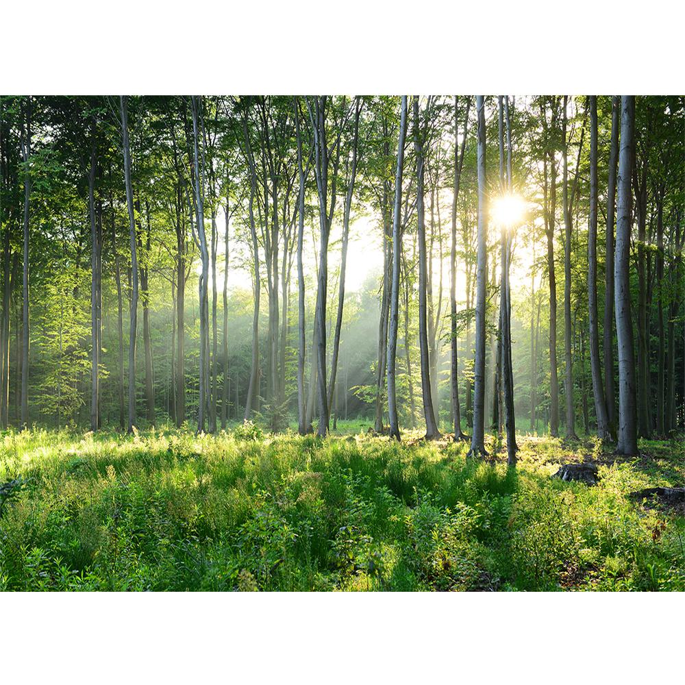 3d Green Forest Murals Nature Scenery Wall Murals Living Room Bedroom Background Forest Wallpaper Home Decor