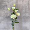 Flores de Lisianthus de Seda Estilo Nórdico - 6 Cabezas para Fondos de Arte y Fotografía