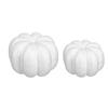10Pcs Artificial Pumpkins Decoration for Thanksgiving Fall Festival Home Decoration White Foam Pumpkins for Painting