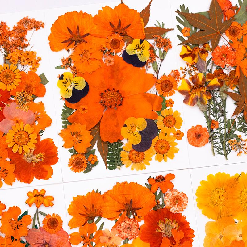 Halloween Theme Pressed Flower Kit for Resin Art Natural Real Pressed Orange Flower Leaves for DIY Epoxy Jewelry Bookmark