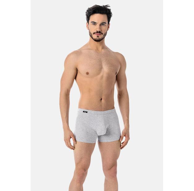 Боксеры Teyli Levi