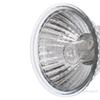 Lâmpada para Répteis UVA+UVB 3.0 25/50/75W Lâmpadas de Luz UV para Tartarugas Aquecimento Lâmpada Controlador de Temperatura