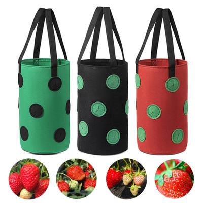 3 Gallon Non-woven Cloth Strawberry Planting Growing Bag Hanging Plant Pot Pouch