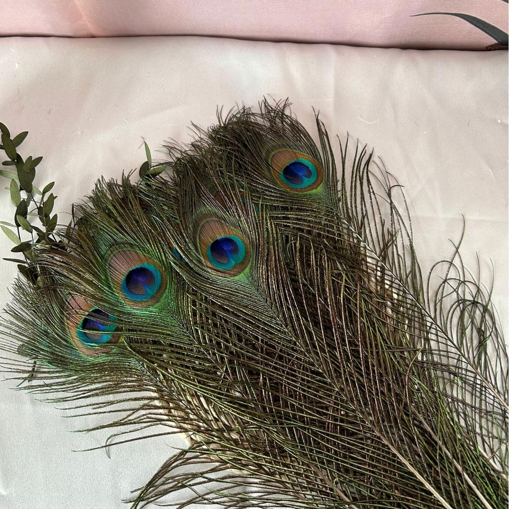 10 Pcs Natural Peacock Feathers with Eye Craft Decoration