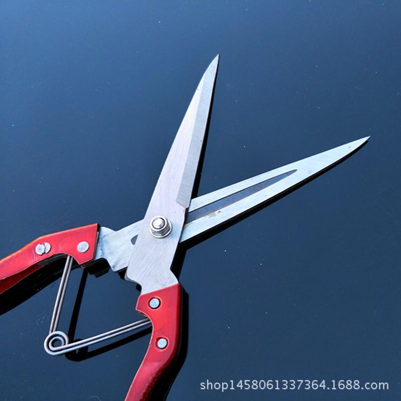 Manual Wool Shears: Sheep, Horse Mane, Pet, and Rabbit Fur Scissors