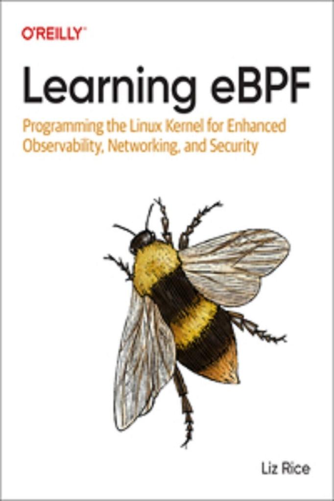 Learning eBPF Paperback L061 IND-146