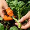 6 Pack Silicone Garden Finger Gathering Tool,1 Ergonomic Gathering Thumb Cover +5 Non Slip Finger Sleeves, Reusable Nail Guard for Pepper Garlic